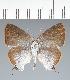  ( - CFCD02351)  @11 [ ] copyright (2022) Center For Collection-Based Research Center For Collection-Based Research
