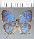  ( - CFCD02355)  @11 [ ] copyright (2022) Center For Collection-Based Research Center For Collection-Based Research