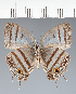 ( - CFCD02357)  @11 [ ] copyright (2022) Center For Collection-Based Research Center For Collection-Based Research