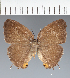  ( - CFCD02358)  @11 [ ] copyright (2022) Center For Collection-Based Research Center For Collection-Based Research