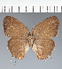  ( - CFCD02360)  @11 [ ] copyright (2022) Center For Collection-Based Research Center For Collection-Based Research