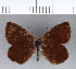 ( - CFCD00237)  @11 [ ] Copyright (2018) Christer Fahraeus Center For Collection-Based Research