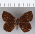  ( - CFCD00238)  @11 [ ] Copyright (2018) Christer Fahraeus Center For Collection-Based Research