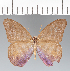  ( - CFCD02383)  @11 [ ] copyright (2022) Center For Collection-Based Research Center For Collection-Based Research