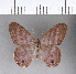  ( - CFCD00024)  @11 [ ] Copyright (2018) Christer Fahraeus Center For Collection-Based Research