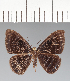  ( - CFCD02412)  @11 [ ] copyright (2022) Center For Collection-Based Research Center For Collection-Based Research