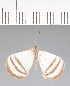  ( - CFCD02414)  @11 [ ] copyright (2022) Center For Collection-Based Research Center For Collection-Based Research