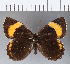  ( - CFCD00246)  @11 [ ] Copyright (2018) Christer Fahraeus Center For Collection-Based Research