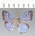 ( - CFCD02493)  @11 [ ] copyright (2022) Center For Collection-Based Research Center For Collection-Based Research