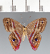  ( - CFCD02534)  @11 [ ] copyright (2022) Center For Collection-Based Research Center For Collection-Based Research