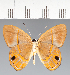  ( - CFCD02539)  @11 [ ] copyright (2022) Center For Collection-Based Research Center For Collection-Based Research