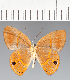  ( - CFCD02540)  @11 [ ] copyright (2022) Center For Collection-Based Research Center For Collection-Based Research