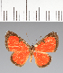 ( - CFCD02584)  @11 [ ] copyright (2022) Center For Collection-Based Research Center For Collection-Based Research