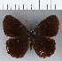  ( - CFCD00260)  @11 [ ] Copyright (2018) Christer Fahraeus Center For Collection-Based Research