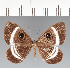  ( - CFCD02656)  @11 [ ] copyright (2022) Center For Collection-Based Research Center For Collection-Based Research
