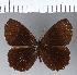  ( - CFCD00266)  @11 [ ] Copyright (2018) Christer Fahraeus Center For Collection-Based Research