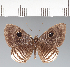  ( - CFCD02660)  @11 [ ] copyright (2022) Center For Collection-Based Research Center For Collection-Based Research