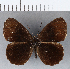  ( - CFCD00267)  @11 [ ] Copyright (2018) Christer Fahraeus Center For Collection-Based Research