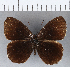  ( - CFCD00268)  @11 [ ] Copyright (2018) Christer Fahraeus Center For Collection-Based Research
