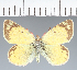  ( - CFCD02696)  @11 [ ] copyright (2023) Center For Collection-Based Research Center For Collection-Based Research