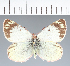 ( - CFCD02698)  @11 [ ] copyright (2023) Center For Collection-Based Research Center For Collection-Based Research