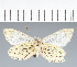  ( - CFCD02708)  @11 [ ] copyright (2023) Center For Collection-Based Research Center For Collection-Based Research