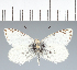  ( - CFCD02709)  @11 [ ] copyright (2023) Center For Collection-Based Research Center For Collection-Based Research