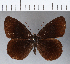  ( - CFCD00277)  @11 [ ] Copyright (2018) Christer Fahraeus Center For Collection-Based Research