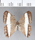  ( - CFCD00332)  @11 [ ] Copyright (2018) Christer Fahraeus Center For Collection-Based Research