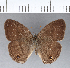  ( - CFCD00338)  @11 [ ] Copyright (2018) Christer Fahraeus Center For Collection-Based Research