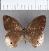 ( - CFCD00344)  @11 [ ] Copyright (2018) Christer Fahraeus Center For Collection-Based Research