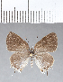  ( - CFCD00357)  @11 [ ] Copyright (2018) Christer Fahraeus Center For Collection-Based Research