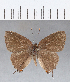  ( - CFCD00358)  @11 [ ] Copyright (2018) Christer Fahraeus Center For Collection-Based Research