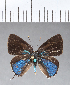  ( - CFCD00363)  @11 [ ] Copyright (2018) Christer Fahraeus Center For Collection-Based Research