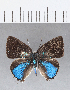  ( - CFCD00364)  @11 [ ] Copyright (2018) Christer Fahraeus Center For Collection-Based Research