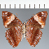  ( - CFCD03818)  @11 [ ] copyright (2023) Center For Collection-Based Research Center For Collection-Based Research