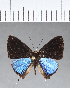  ( - CFCD00385)  @11 [ ] Copyright (2018) Christer Fahraeus Center For Collection-Based Research