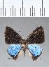  ( - CFCD00386)  @11 [ ] Copyright (2018) Christer Fahraeus Center For Collection-Based Research
