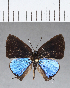  ( - CFCD00389)  @11 [ ] Copyright (2018) Christer Fahraeus Center For Collection-Based Research