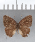  ( - CFCD00394)  @11 [ ] Copyright (2018) Christer Fahraeus Center For Collection-Based Research