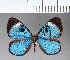  ( - CFCD00004)  @11 [ ] Copyright (2018) Christer Fahraeus Center For Collection-Based Research