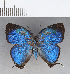  ( - CFCD00424)  @11 [ ] Copyright (2018) Christer Fahraeus Center For Collection-Based Research