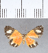  ( - CFCD00045)  @11 [ ] Copyright (2018) Christer Fahraeus Center For Collection-Based Research