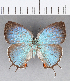  ( - CFCD00450)  @11 [ ] Copyright (2018) Christer Fahraeus Center For Collection-Based Research