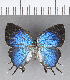  ( - CFCD00454)  @11 [ ] Copyright (2018) Christer Fahraeus Center For Collection-Based Research