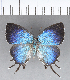  ( - CFCD00455)  @11 [ ] Copyright (2018) Christer Fahraeus Center For Collection-Based Research
