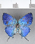  ( - CFCD00456)  @11 [ ] Copyright (2018) Christer Fahraeus Center For Collection-Based Research