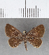  ( - CFCD00520)  @11 [ ] Copyright (2018) Christer Fahraeus Center For Collection-Based Research