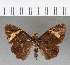  ( - CFCD00595)  @11 [ ] Copyright (2018) Christer Fahraeus Center For Collection-Based Research