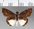  ( - CFCD00603)  @11 [ ] Copyright (2018) Christer Fahraeus Center For Collection-Based Research